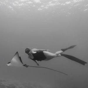 Meet your Posher, Elyssa